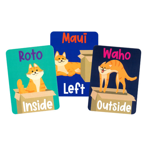 Snap Game Te Reo Locations 40 Cards